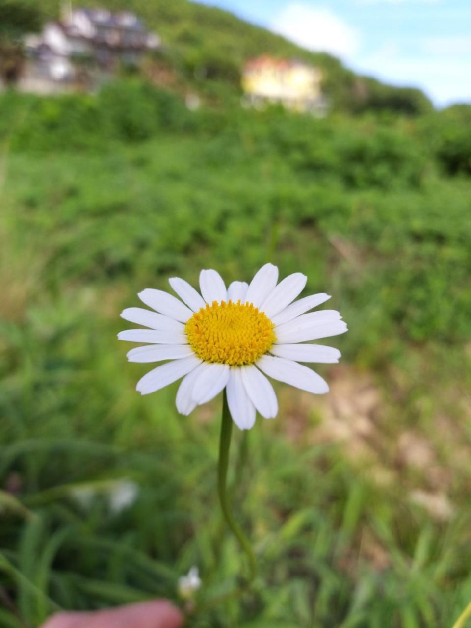 Oneday In Geoje Villa Eksteriør billede